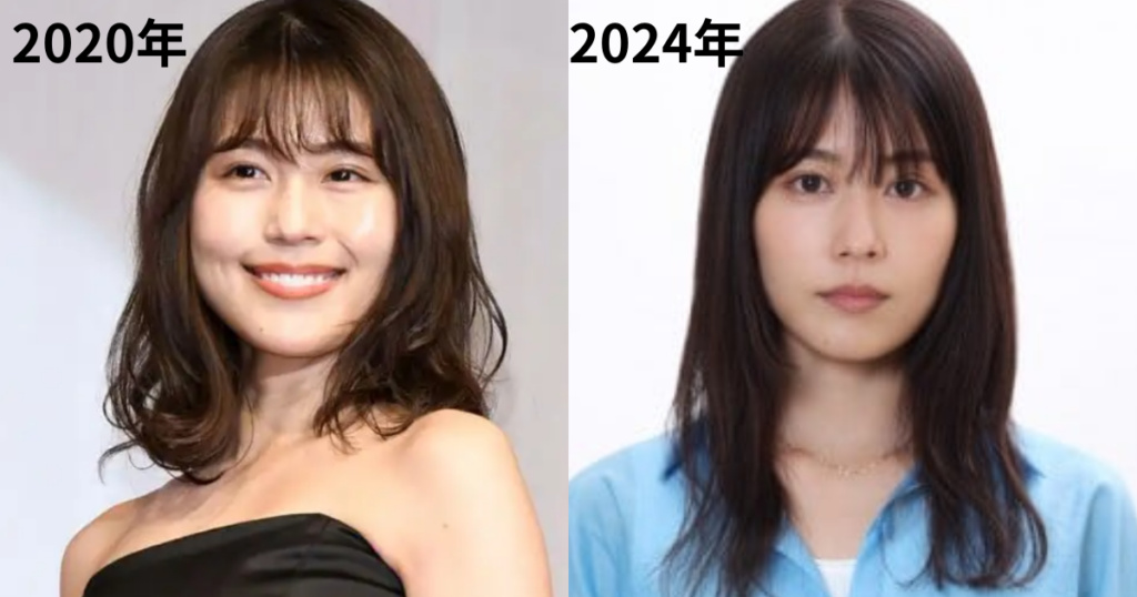 活動歴および当時の関連ビジュアル記録